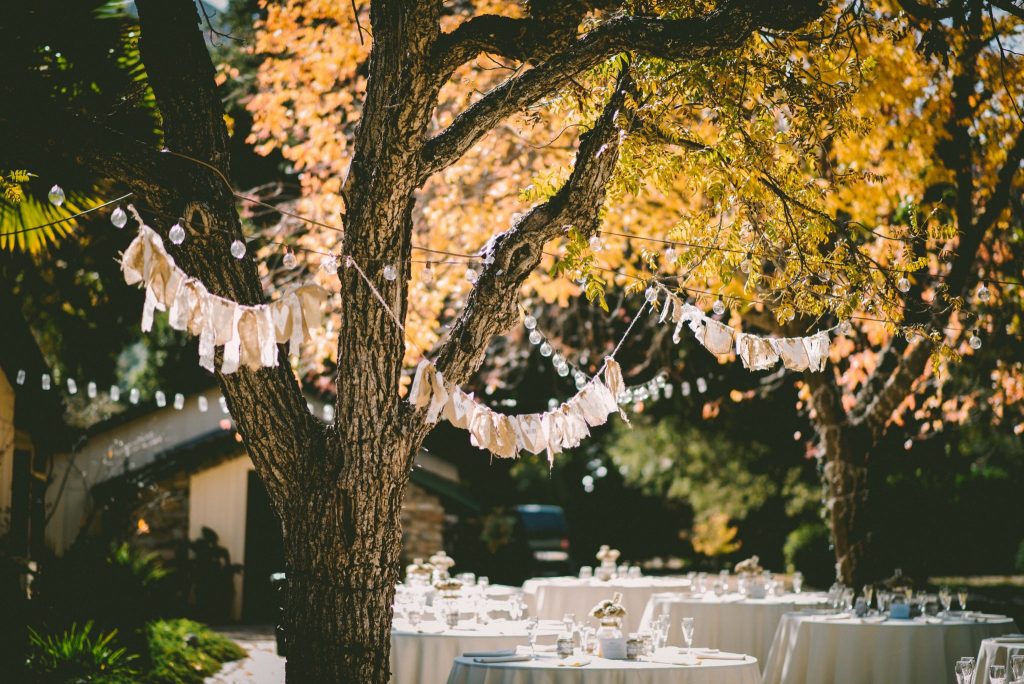 Dollar Tea Club, Outdoor Wedding Reception, June Summer Wedding, Herbal Tea Recipe, Using Tea in Your Wedding