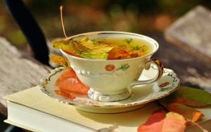 Fancy Cup of Herbal Tea