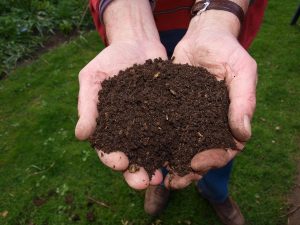 tea garden composting