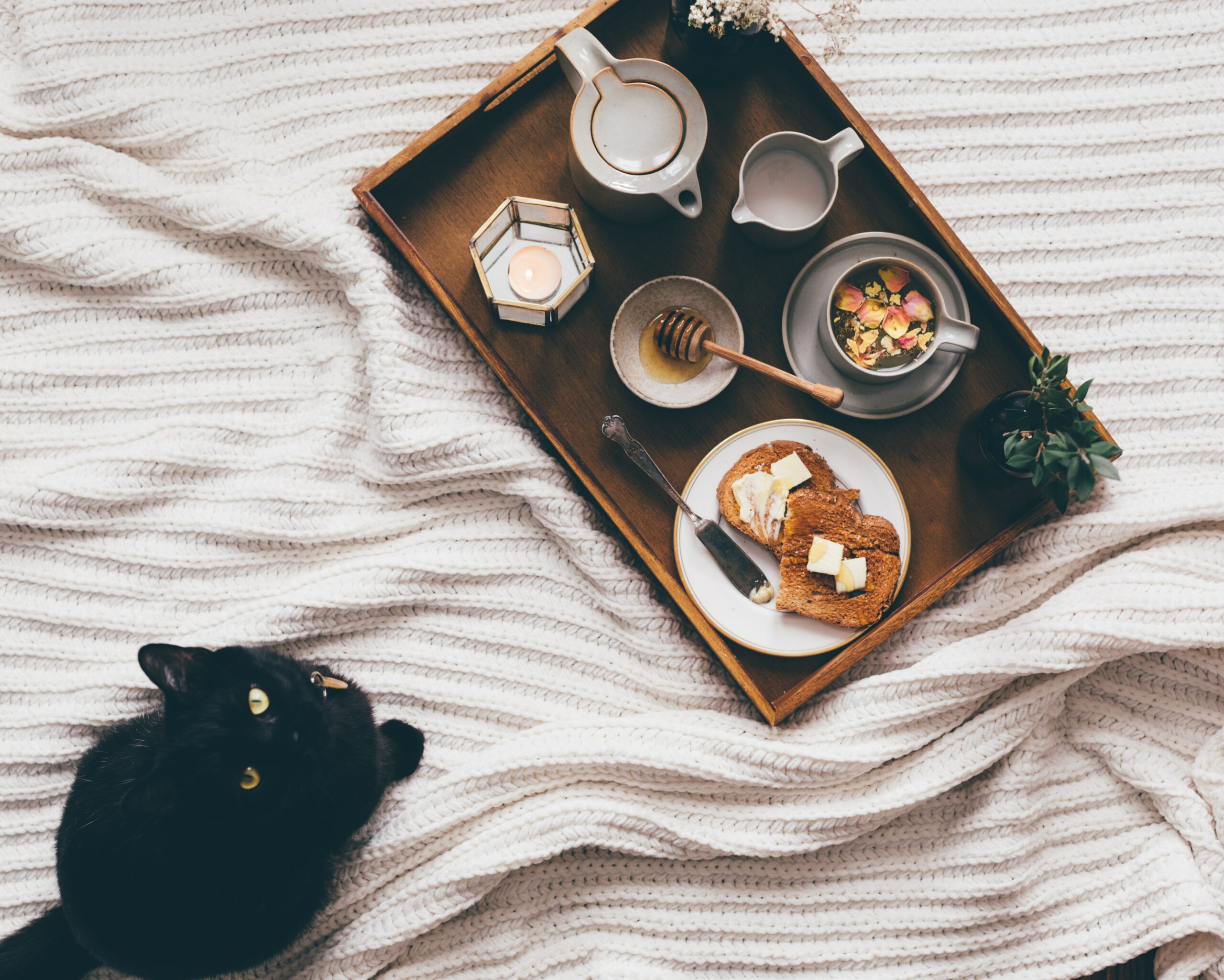 tea on bed with cat