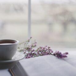wellness bundle spa tea blends