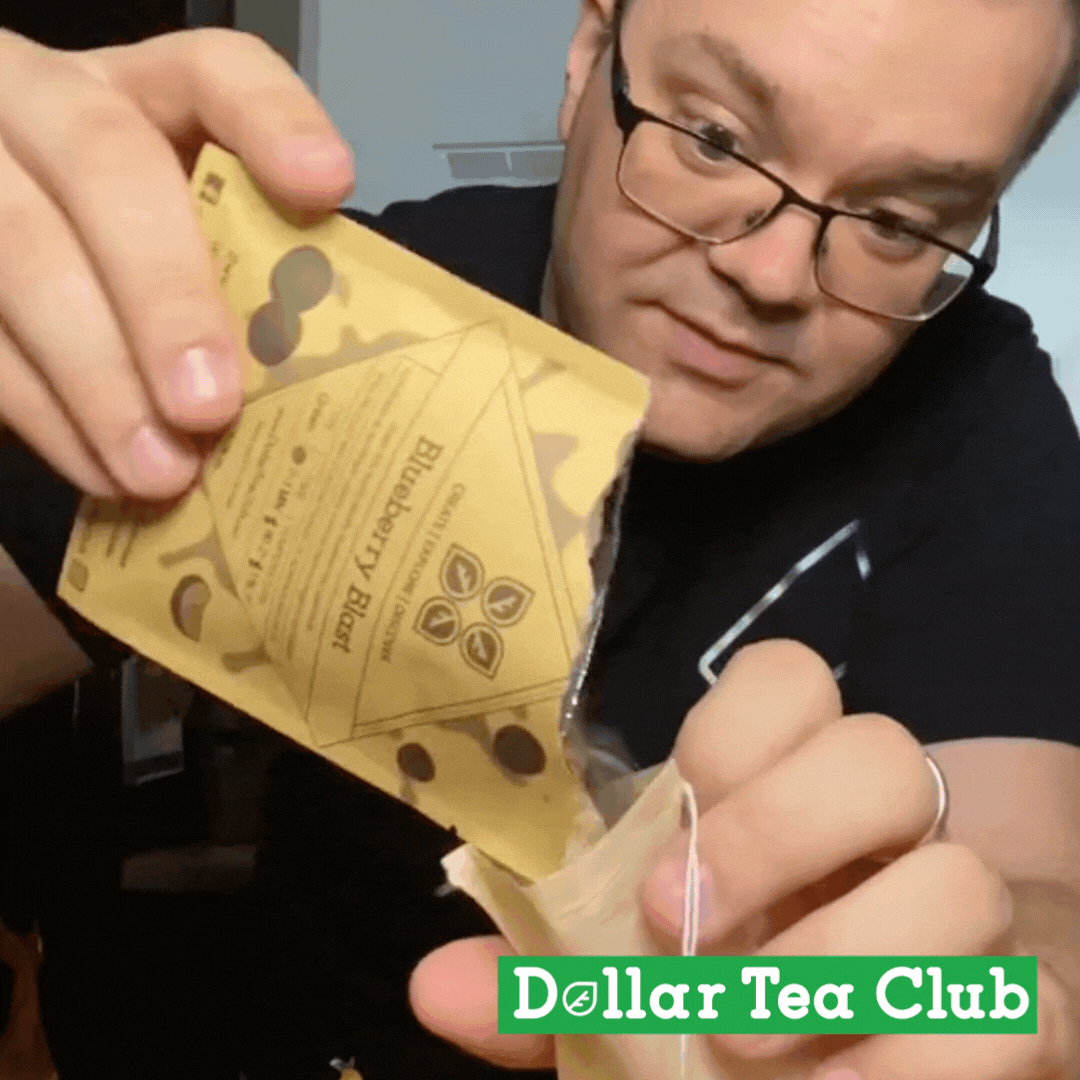 Cold Brew Infuser - Dollar Tea Club
