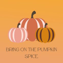 pumpkin spice sample pack