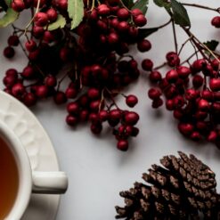 winter tea vibes photo background